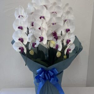 cropped img 1580 scaled 1.jpg