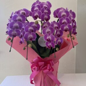 cropped img 1587 scaled 1.jpg